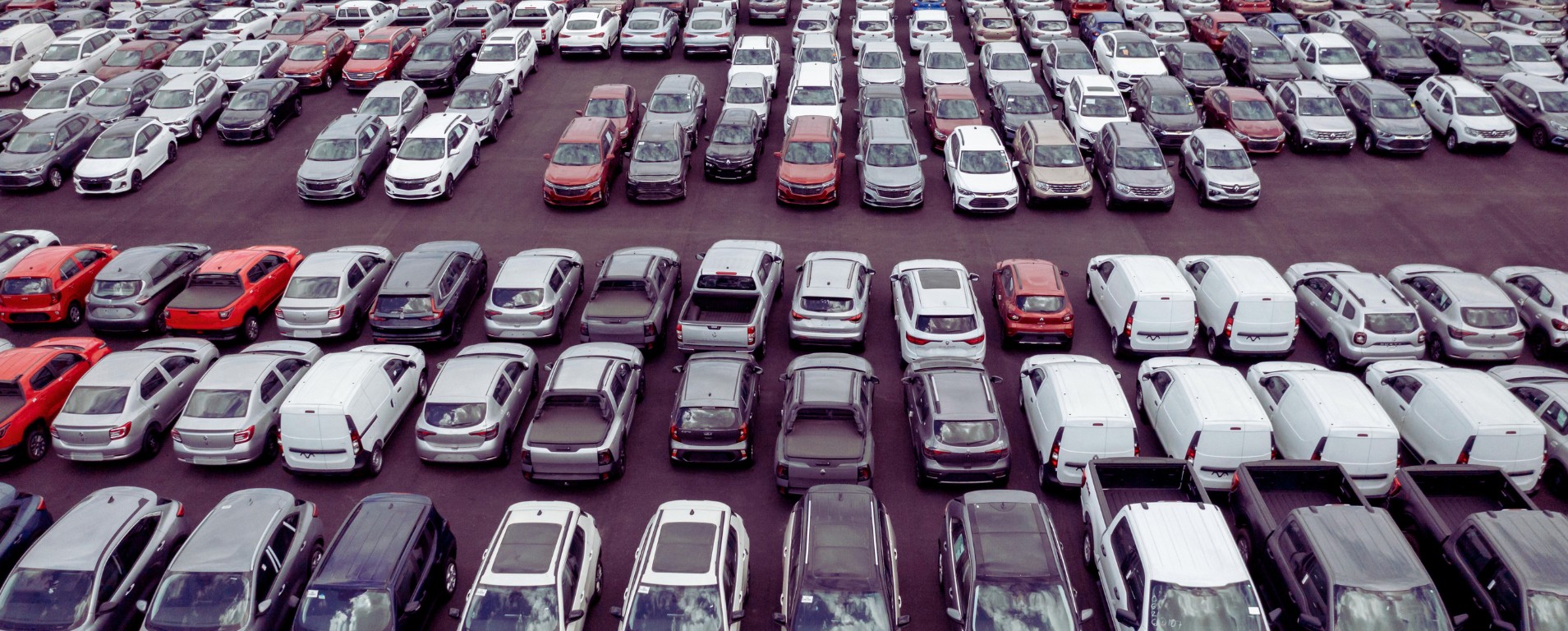 Transparência em Leilões